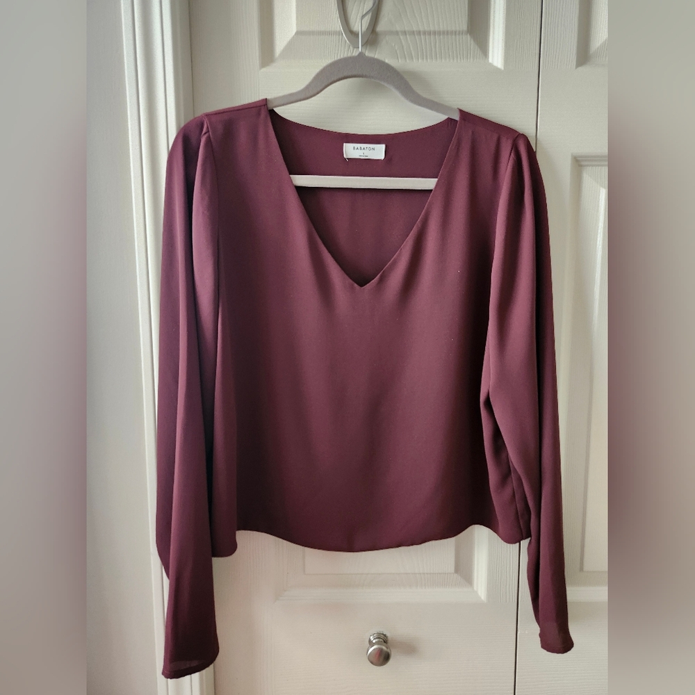 Aritzia Babaton Murphy Blouse